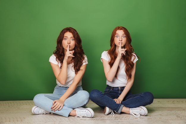 Portrait of two surprised young redhead girls