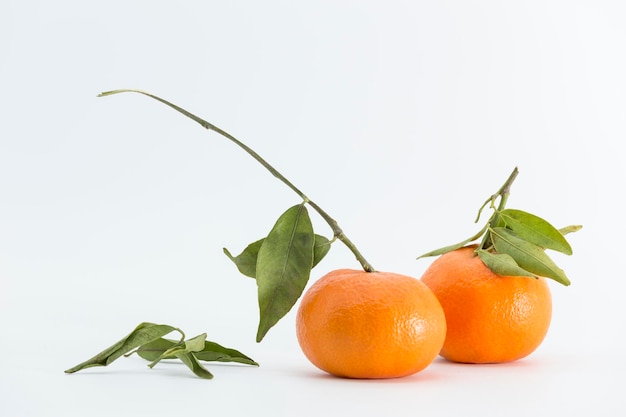 Portrait of two tangerines with leaves and stem on a white background