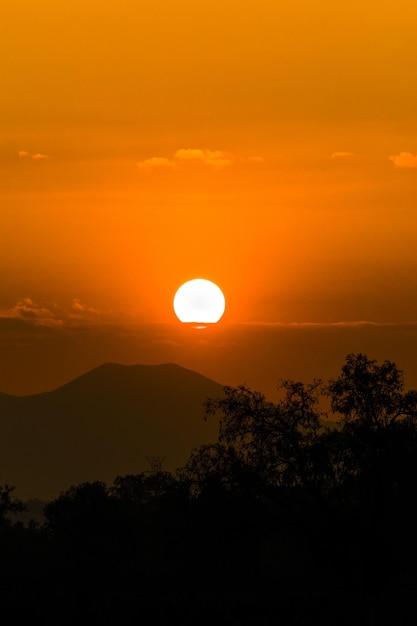 portrait of a very orange sunrise