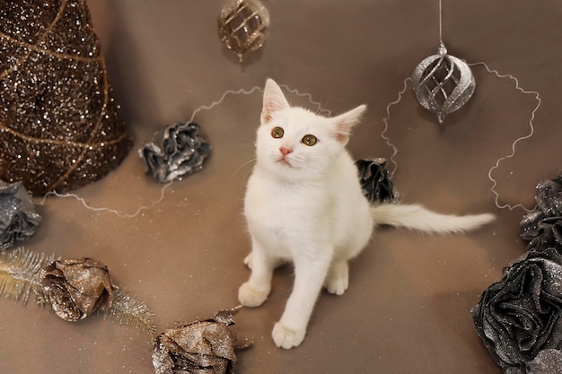 Portrait of a white little kitten on a beige background with shiny decorations