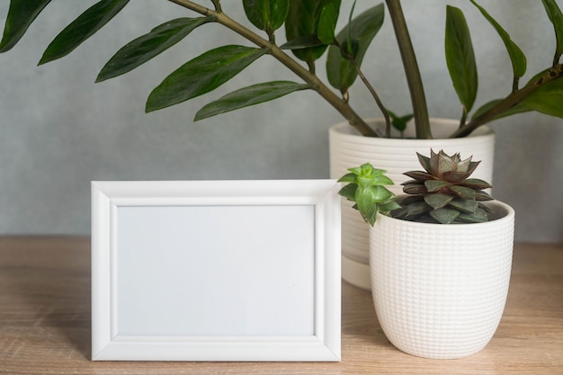 Portrait white picture frame mockup with white pots with succulents and zamiokulkas