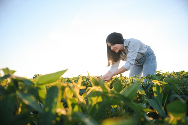 Портрет женщины-агронома осмотрел листья сои, растущие на поле