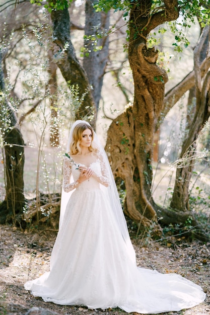 Photo portrait of woman standing in forest