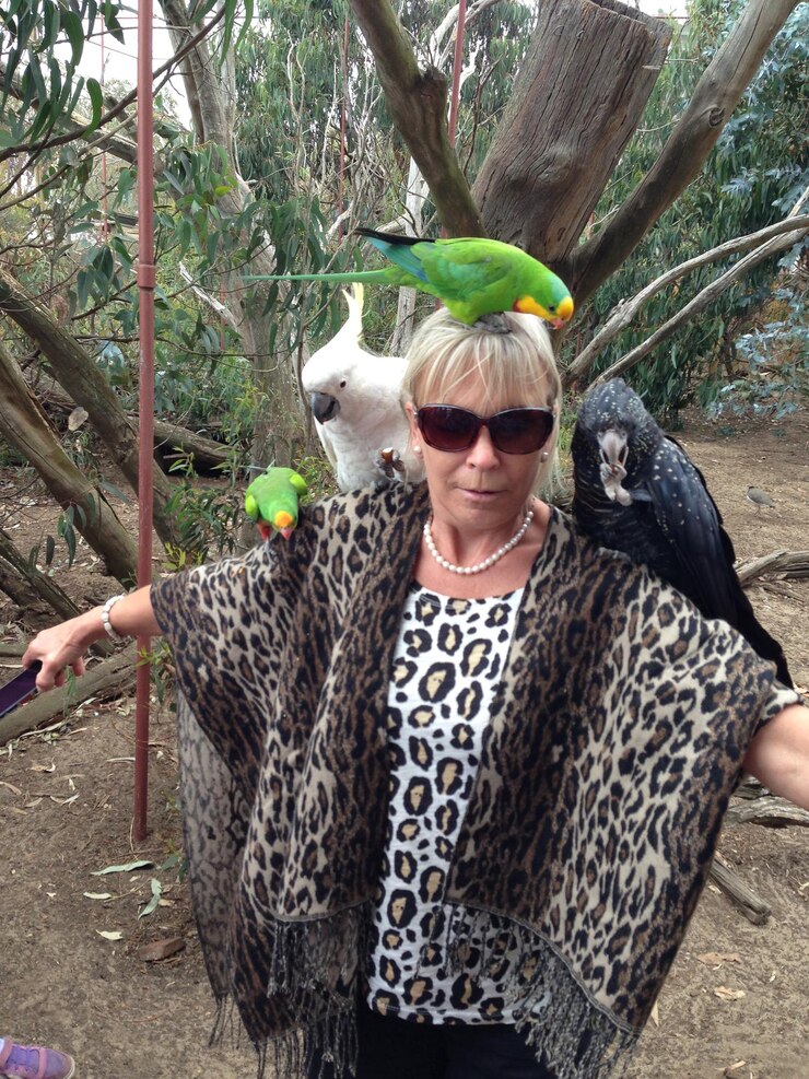 Photo portrait of woman with birds perching on shoulder and head