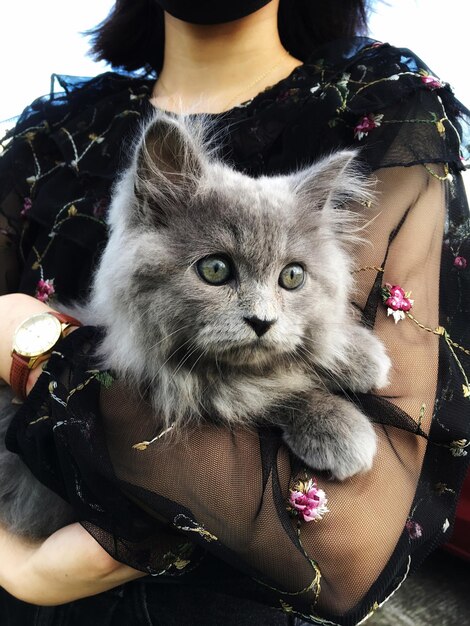 Photo portrait of woman with cat