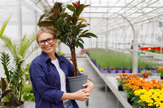 温室で手に観葉植物を持つ女性のポートレート