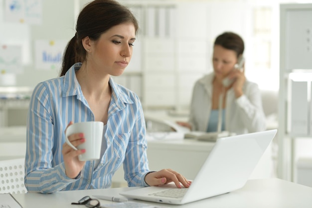 Portrait of young attractive woman working with laptop in office