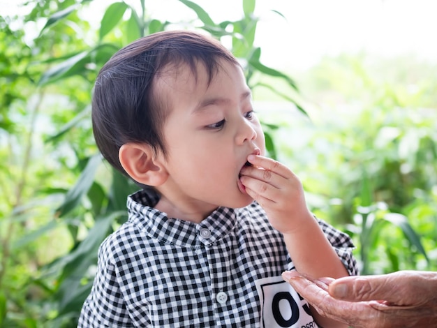 Portrait young boy 2 year old child eating snack food on green blur nature background cute little boy authentic black hair and black eye asian Thailand kid learning and happy family fun concept