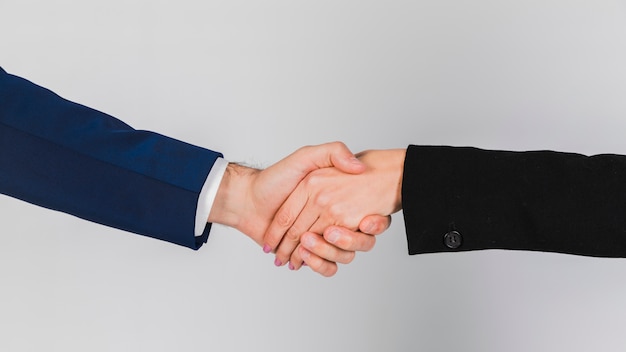 Portrait of a young business people shaking hands against grey background