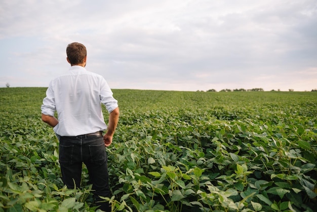 Portrait of young farmer standing in soybean field.