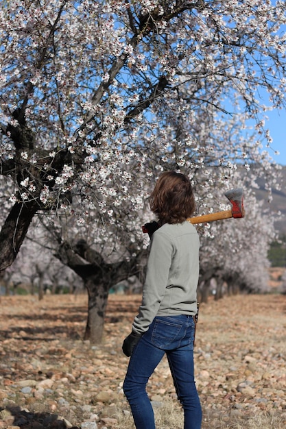 Portrait of a young man with long hair pruning almond trees in bloom in spring