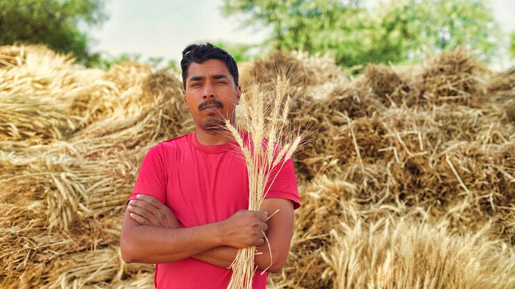 फोटो घास पर खड़ी युवती का चित्र