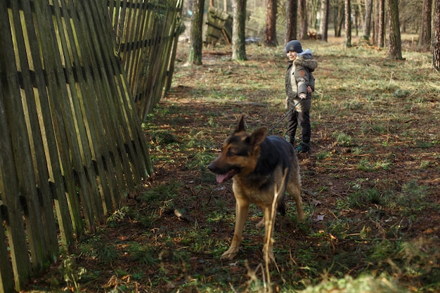 Portret een glimlachende jongen die met grote hondenrasduitse herder in bos lopen.