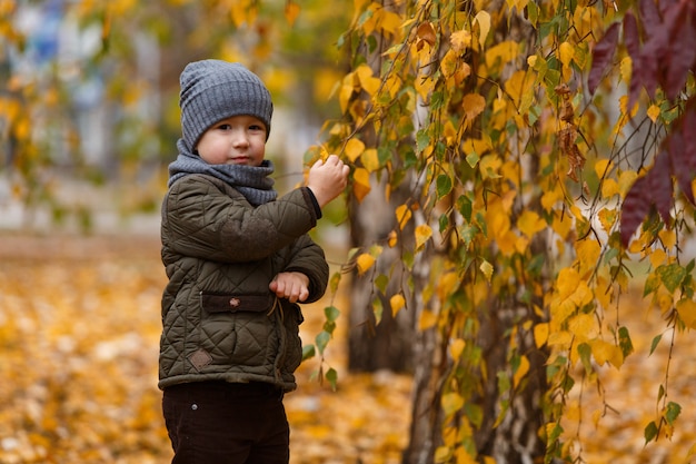 Portret een kleine vrolijke jongen op een herfstwandeling in het park