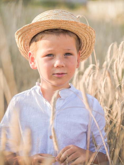 Portret kind Kleine jongen op een tarweveld