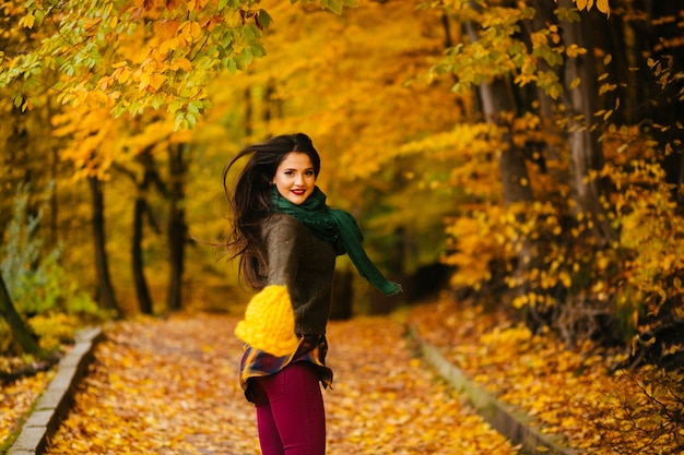 portret leuke boom heldere herfst