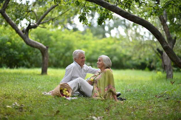 Portret van amusant oud koppel op picknick