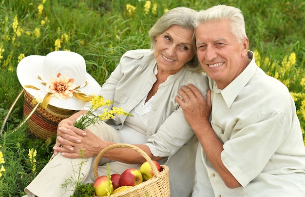 Portret van amusant oud koppel op picknick