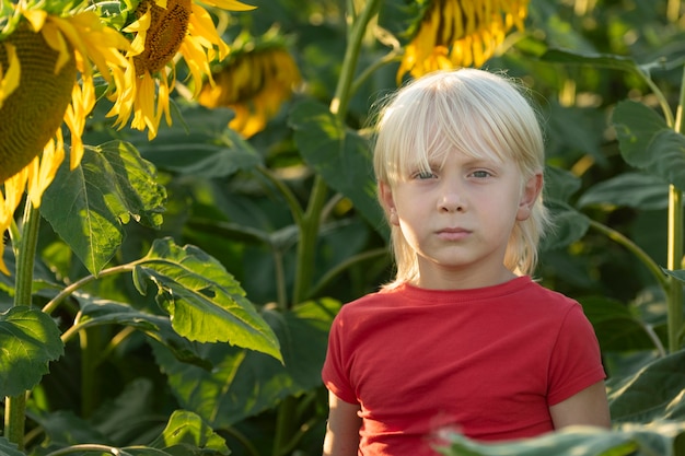 Portret van blonde jongen op zonnebloemenveld