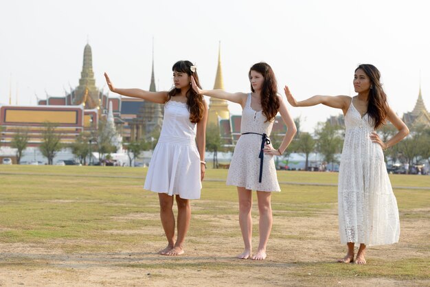 Portret van drie multi-etnische jonge mooie vrouwen als vrienden samen in het park buiten