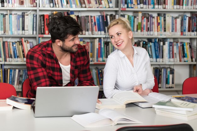 Portret van een aantrekkelijke student die wat schoolwerk doet met een laptop in de bibliotheek