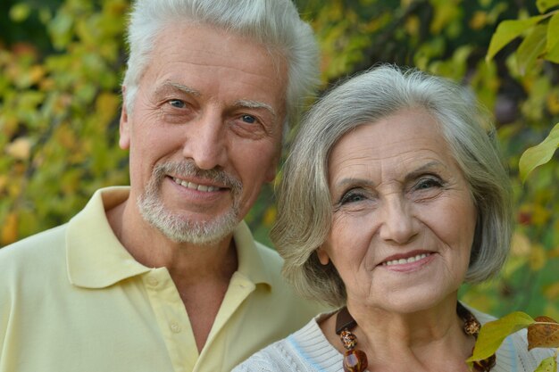 Portret van een aardig volwassen paar in het voorjaarspark