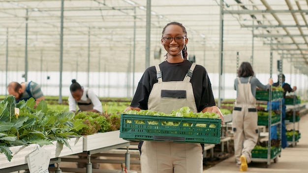 Portret van een biologische teler die een krat met verse slaproductie toont die klaar is voor levering aan lokale winkels. Glimlachende Afro-Amerikaanse groentenboer die verse salade vasthoudt die in de kas wordt gekweekt.