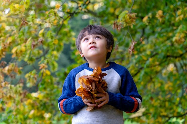 Portret van een de herfstbladeren van de jong geitjeholding