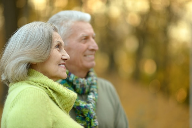 Portret van een gelukkig hoger paar in de herfstpark
