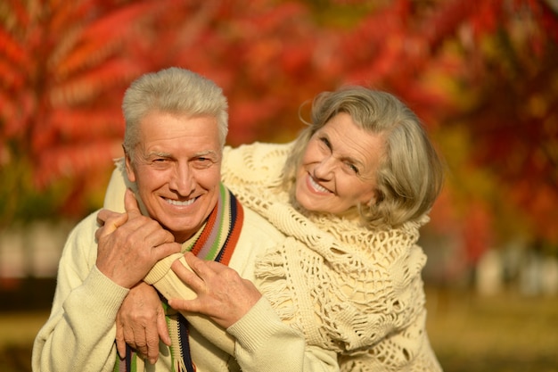 Portret van een gelukkig hoger paar in de herfstpark