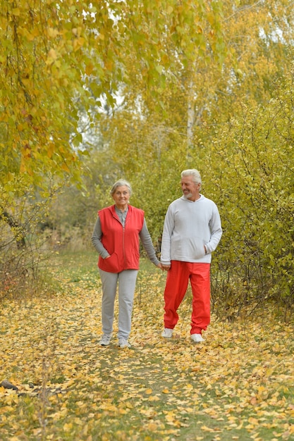 Portret van een gelukkig hoger paar in de herfstpark