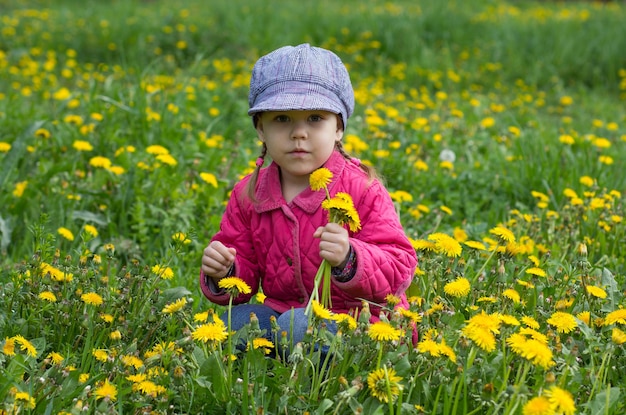 Portret van een gelukkig Kaukasisch kind van vier jaar dat gele paardebloemen verzamelt op de weide buiten