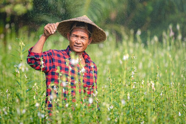 Portret van een gelukkig senior Aziatische boer op Sesam tuin