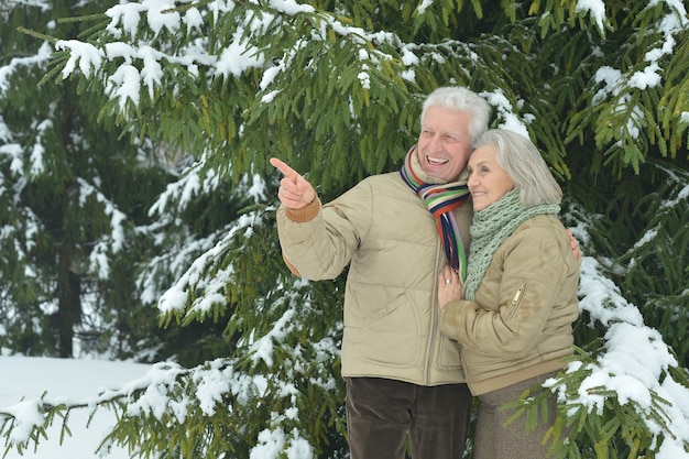 Portret van een gelukkig senior koppel in de winter buiten