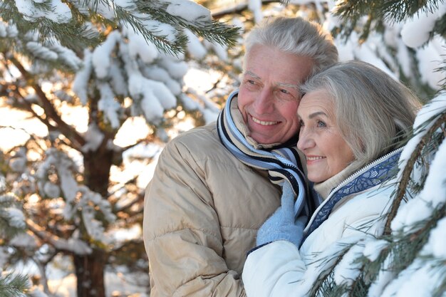 Portret van een gelukkig senior koppel in de winter buiten