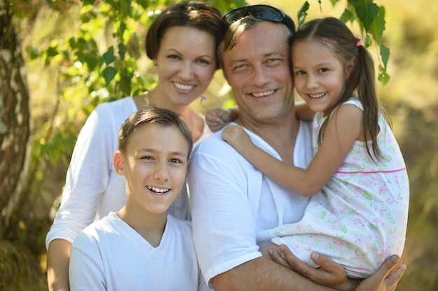 Portret van een gelukkige familie die in het zomerpark rust