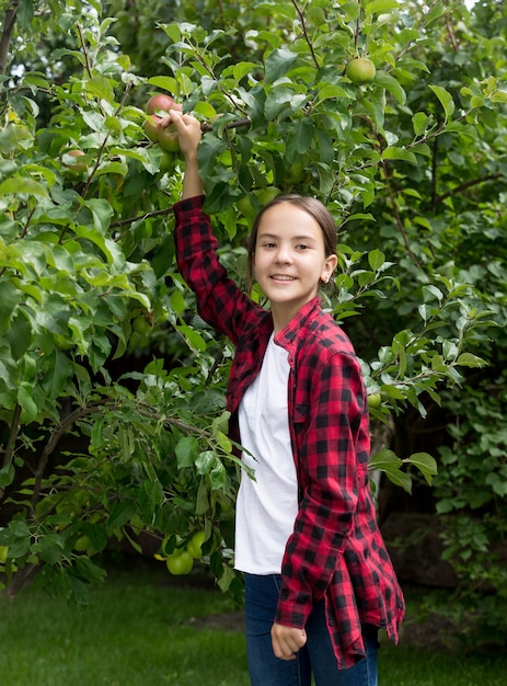 Portret van een gelukkige glimlachende vrouw die appels plukt in de tuin