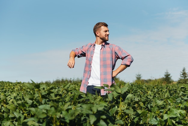 Portret van een gelukkige jonge boer die sojaplantages inspecteert. Agrarische industrie