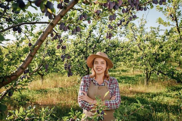 Portret van een glimlachende vrouwelijke landbouwer die tijdens de herfstoogst verse rijpe pruimen plukt in de boomgaardtuin