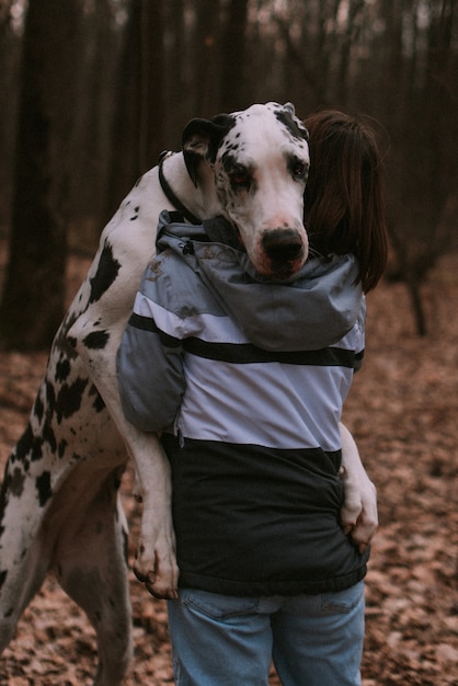 Portret van een grote hond in het bos