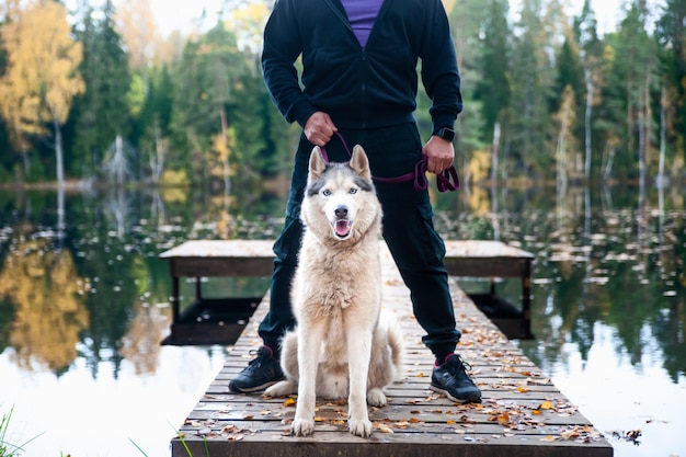 Portret van een husky hond op de pier van een prachtig meer, de eigenaar staat vlakbij Herfststemming