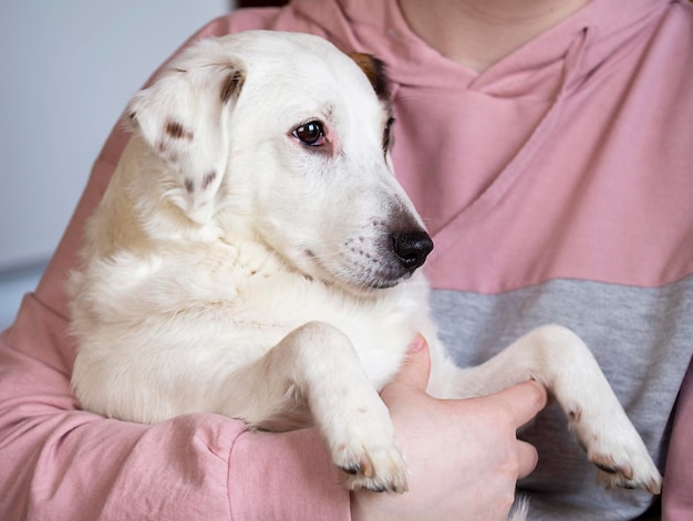 Portret van een Jack Russell-hond in de armen van een man Concept van vriendschap huisdieren