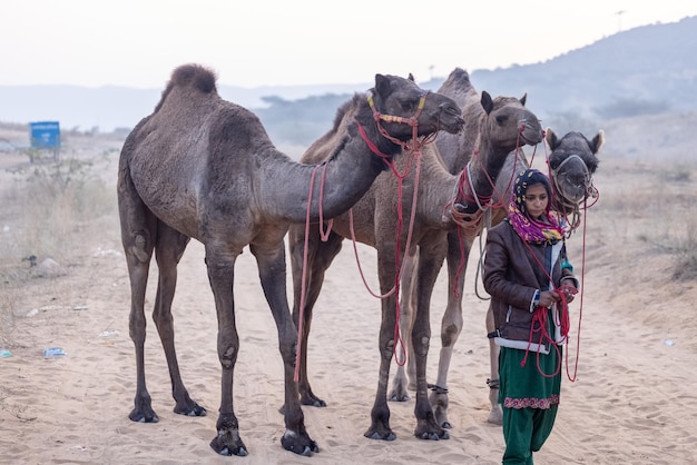 Foto portret van een jonge indiase rajasthani vrouw in kleurrijke traditionele jurk die een kameel draagt in pushkar