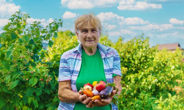 Foto portret van een jonge man met appels in de hand