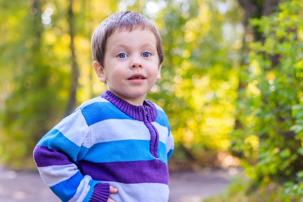 Portret van een jongen in een trui. Kleine jongen portret. Mooi kind.