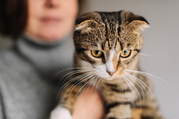 Portret van een kat met een kitten
