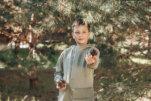 Portret van een kind dat dennenappels verzamelt en vasthoudt in het bos