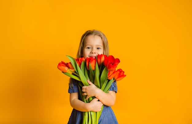 Portret van een klein blond meisje in een blauwe jurk met een boeket rode tulpen op een gele muur met een kopie van de ruimte