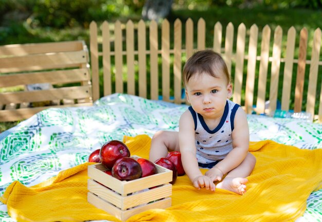 Portret van een kleine gelukkige jongen op de picknick Mooie babyjongen die appel eet op het grasveld Outdoor lifestyle concept