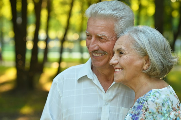 Portret van een liefdevol volwassen stel in het zomerpark